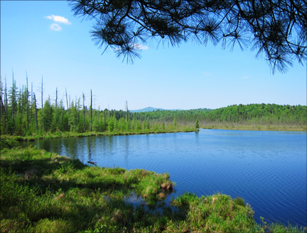 Saint Regis from the Barnum Pond Overlook at the Paul Smiths VIC